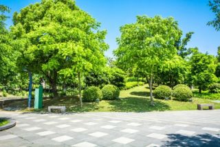 The Acres Amenities - Neighbourhood Parks
